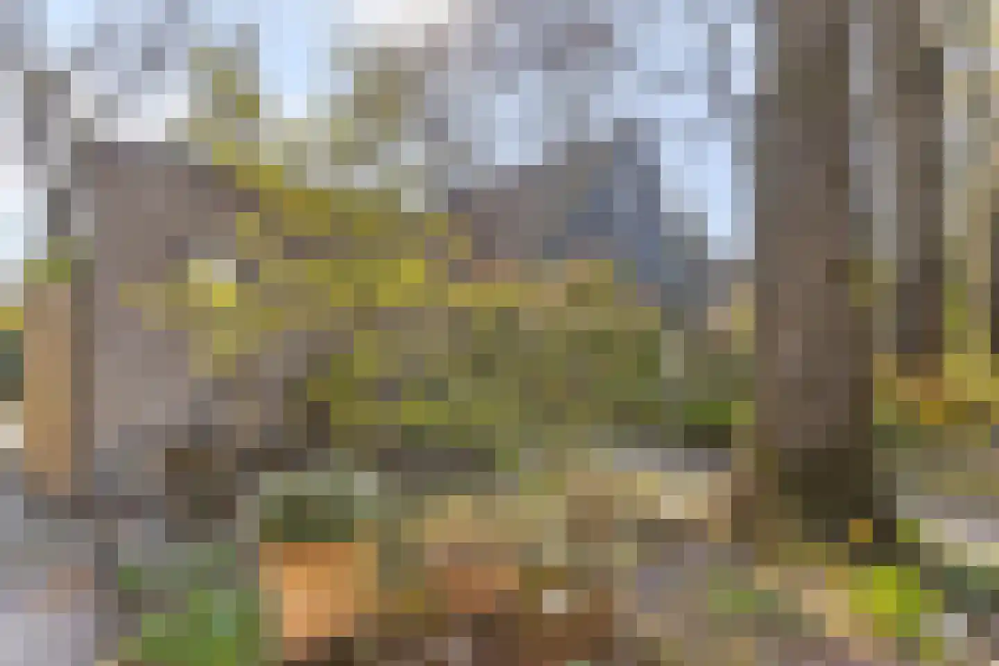 Kievit 12 b 273 Baarle-Nassau thumbnail 38