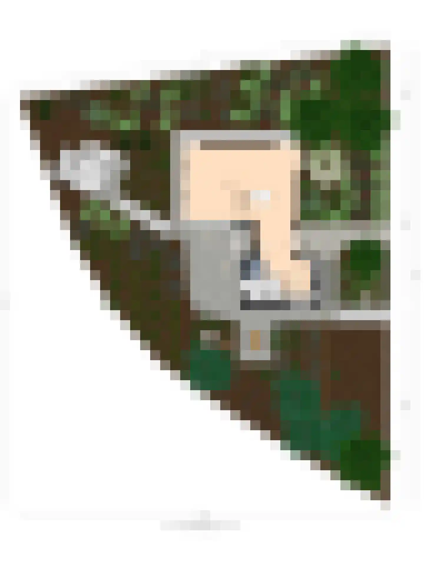 Kievit 12 b 273 Baarle-Nassau thumbnail 39