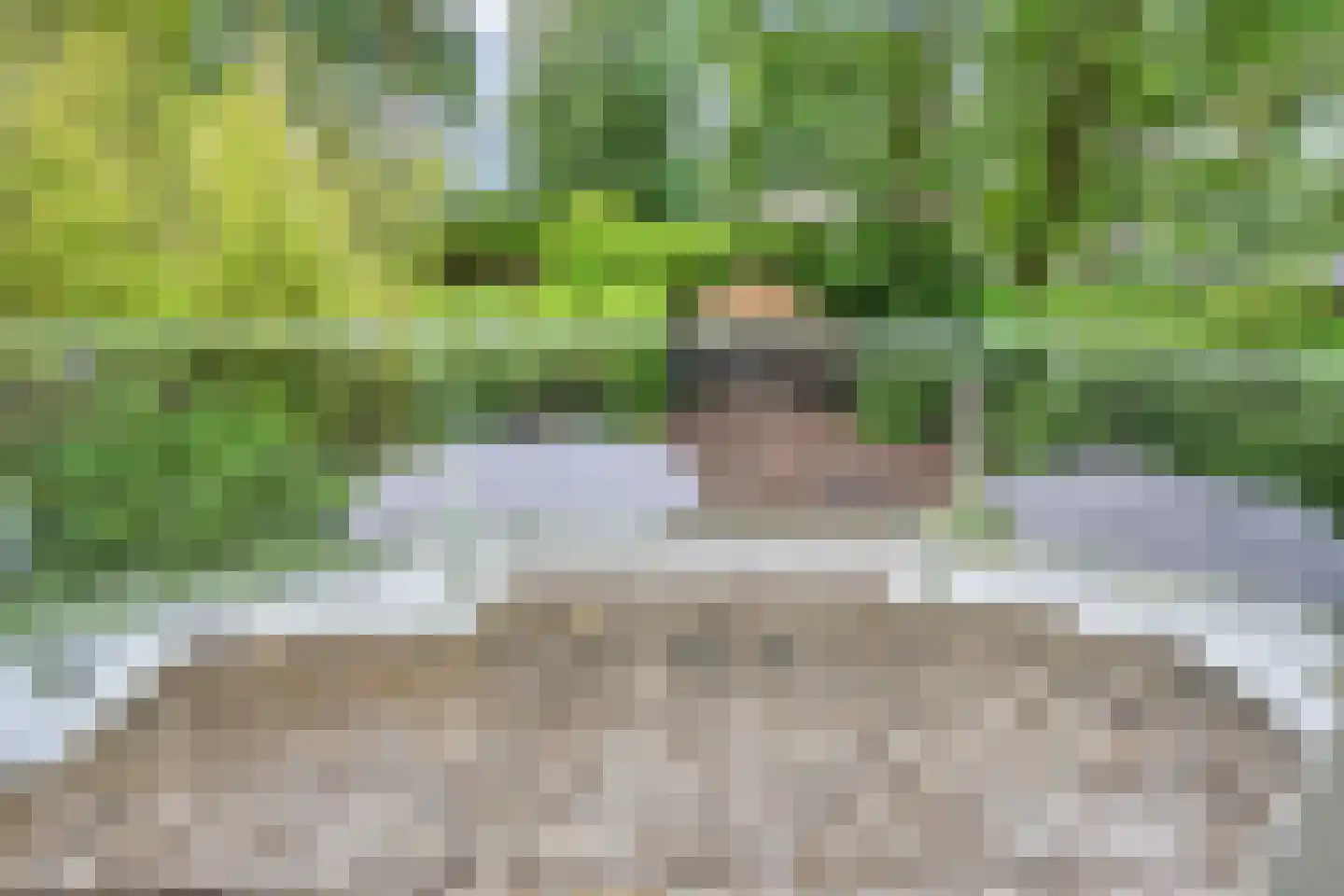 Kievit 12 b 279 Baarle-Nassau thumbnail 20