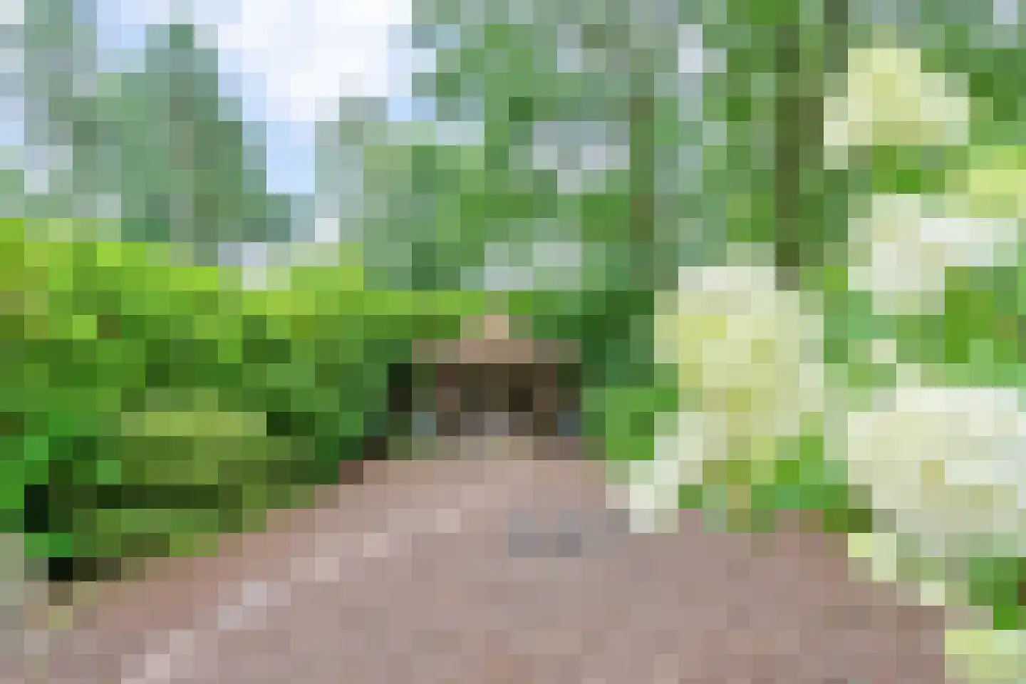 Kievit 12 b 279 Baarle-Nassau thumbnail 25