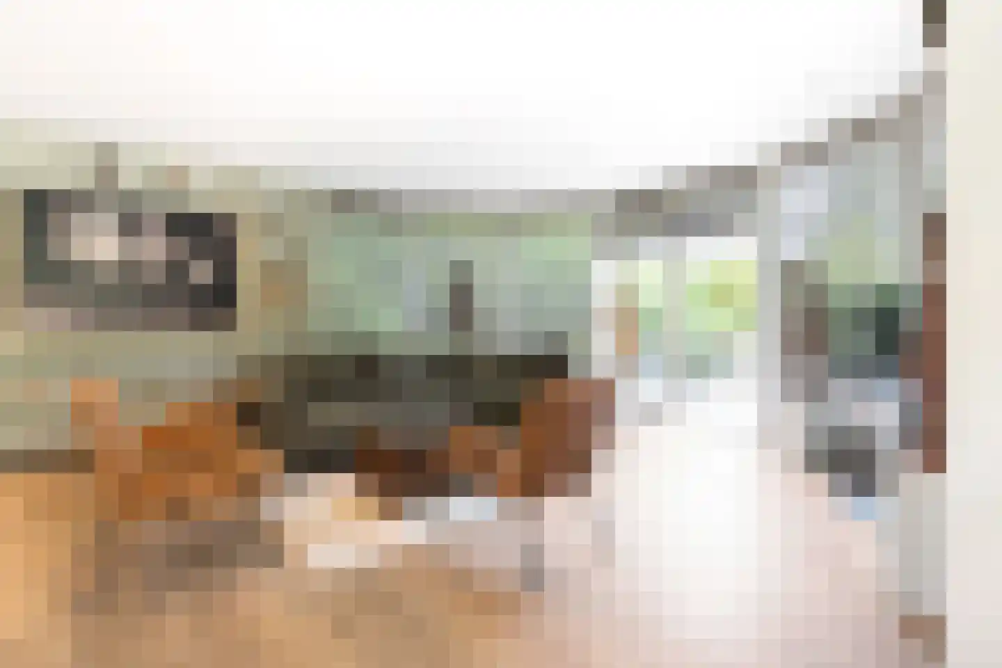 Kievit 12 b 279 Baarle-Nassau thumbnail 7