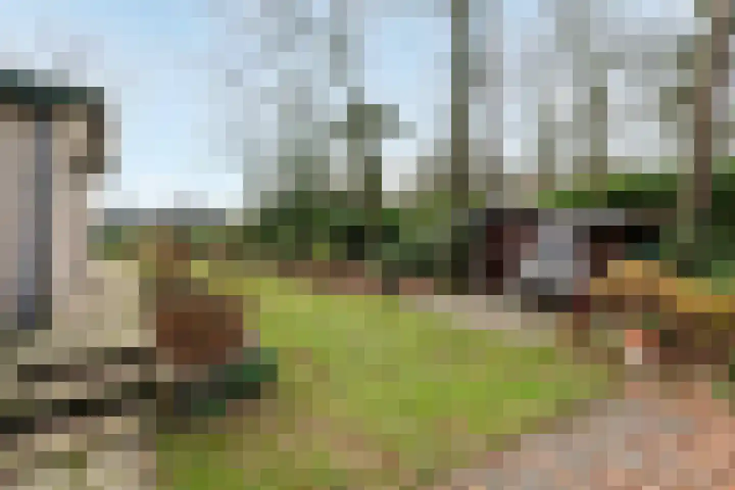 Kievit 12 b 281 Baarle-Nassau thumbnail 14