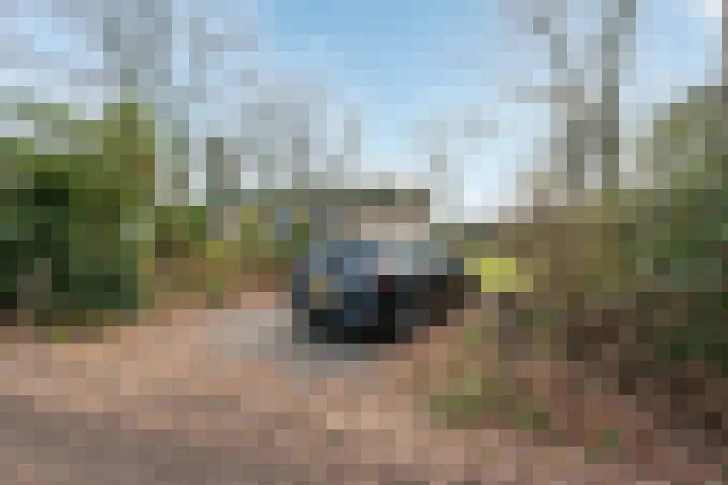 Kievit 12 b 281 Baarle-Nassau thumbnail 18