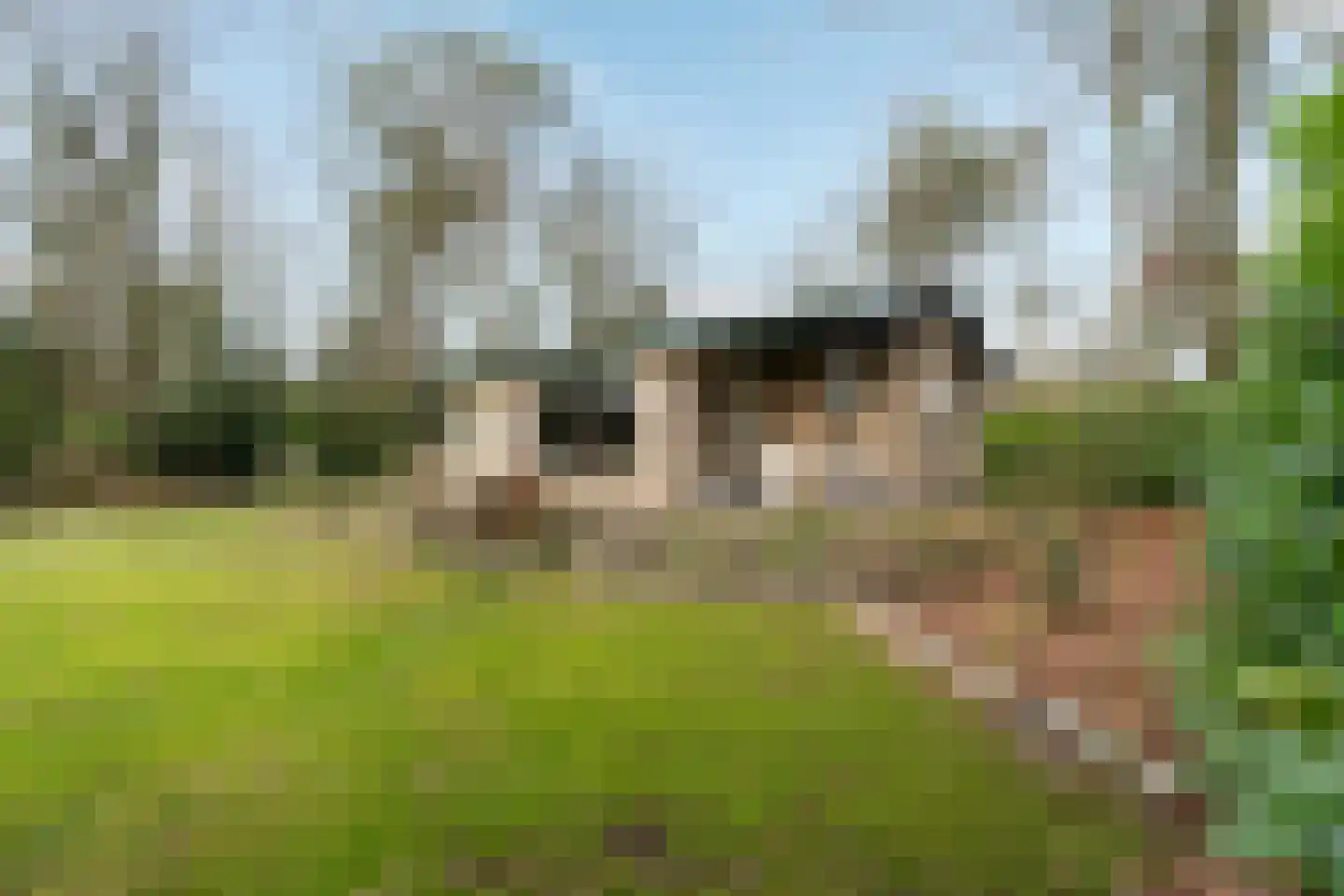 Kievit 12 b 281 Baarle-Nassau thumbnail 20