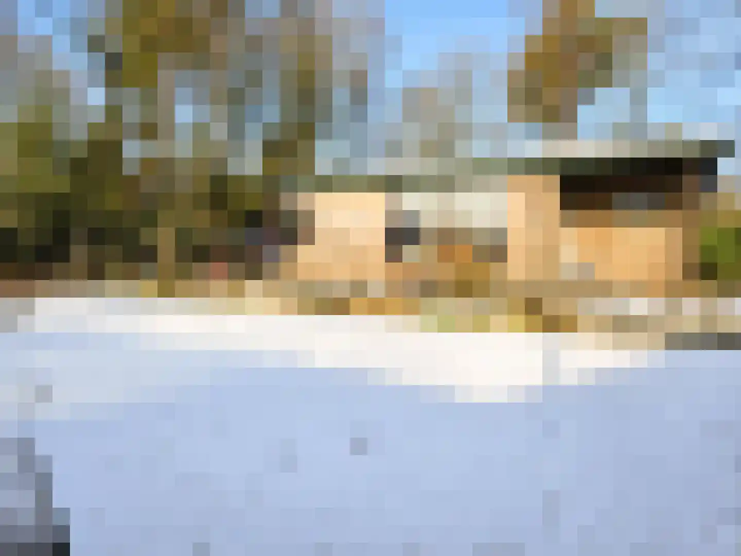 Kievit 12 b 281 Baarle-Nassau thumbnail 22
