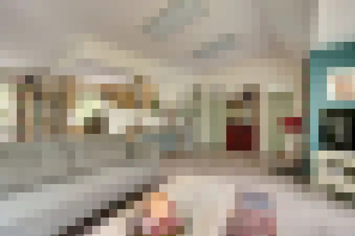 Kievit 12 b 289 Baarle-Nassau thumbnail 12