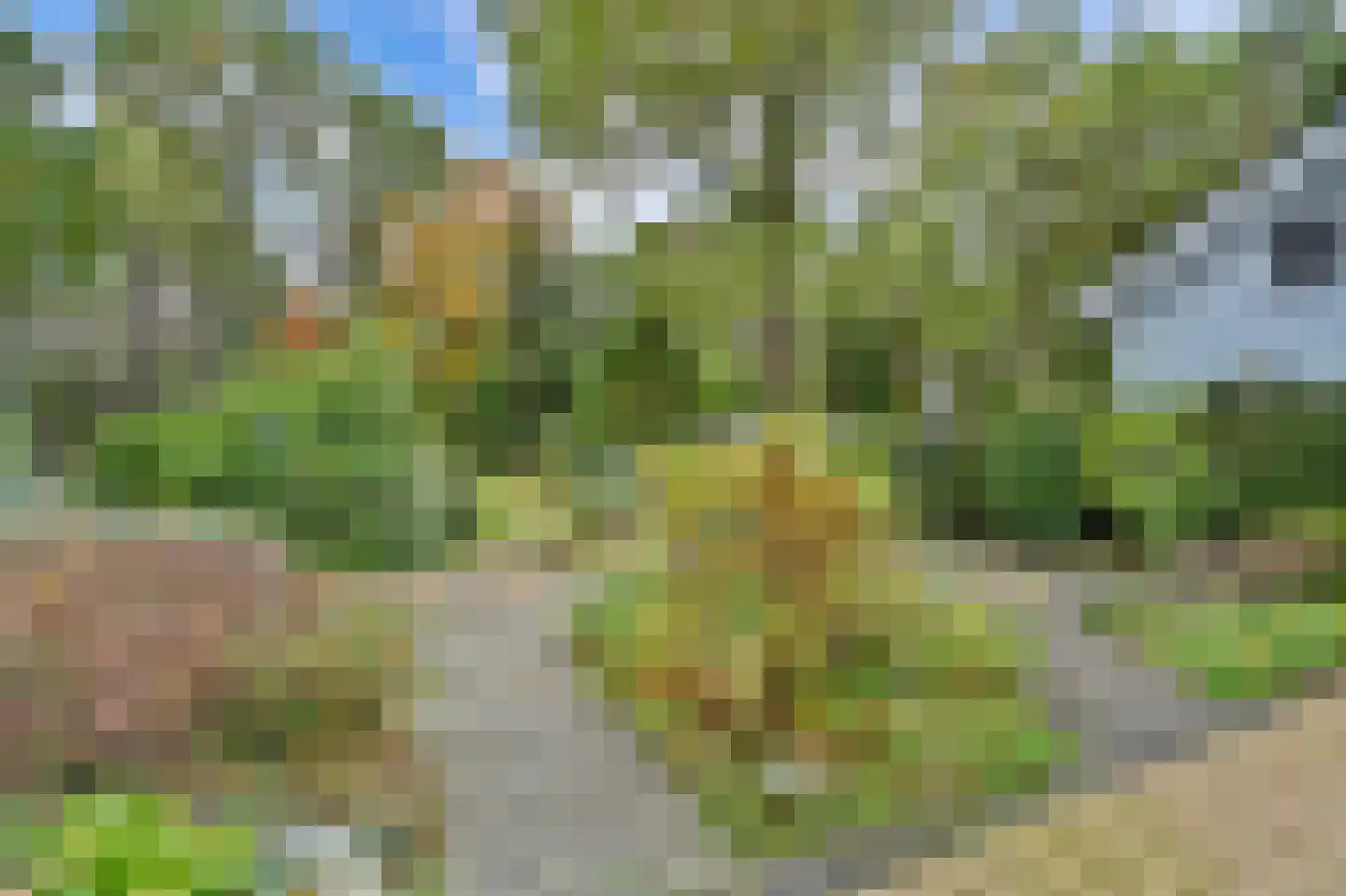Kievit 12 b 289 Baarle-Nassau thumbnail 29