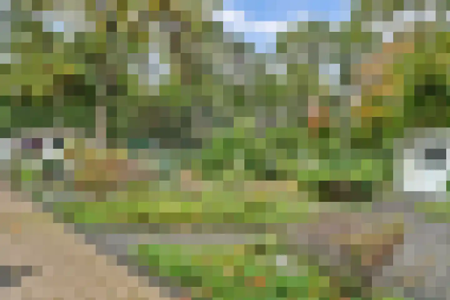 Kievit 12 b 289 Baarle-Nassau thumbnail 30
