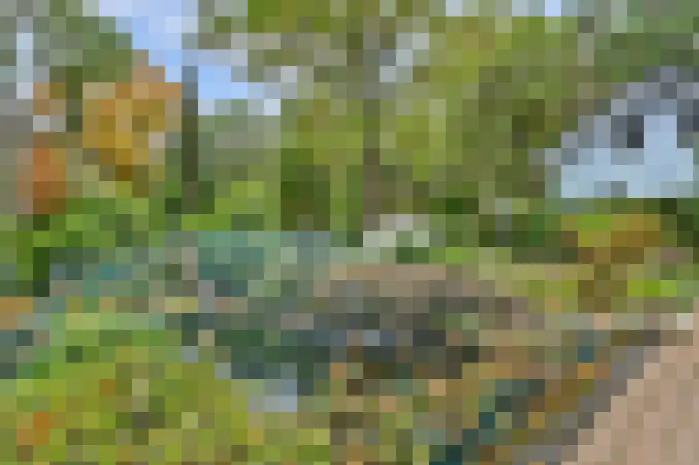Kievit 12 b 289 Baarle-Nassau thumbnail 31