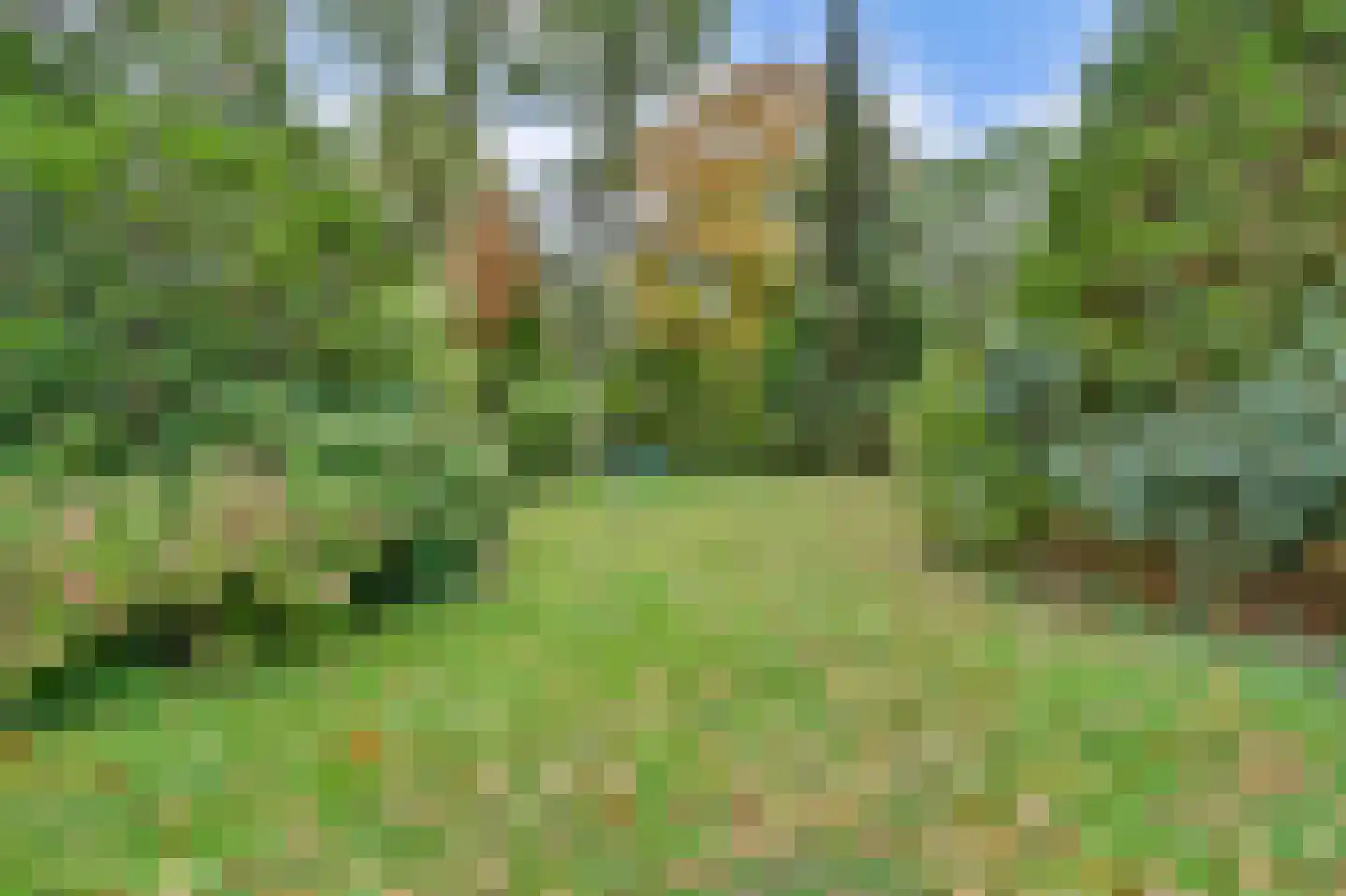 Kievit 12 b 289 Baarle-Nassau thumbnail 32