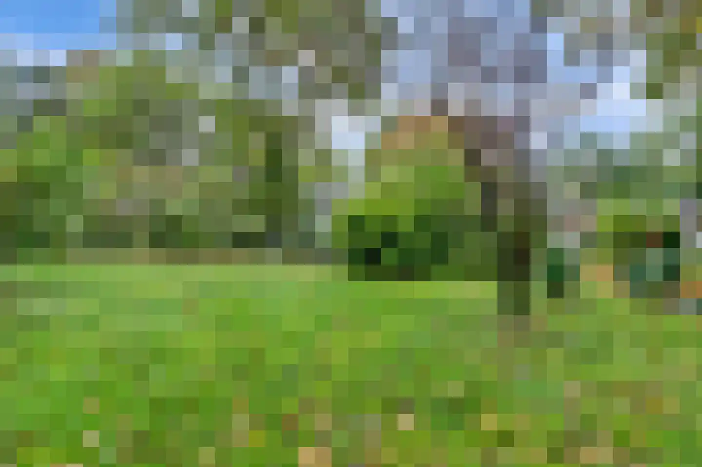Kievit 12 b 289 Baarle-Nassau thumbnail 33