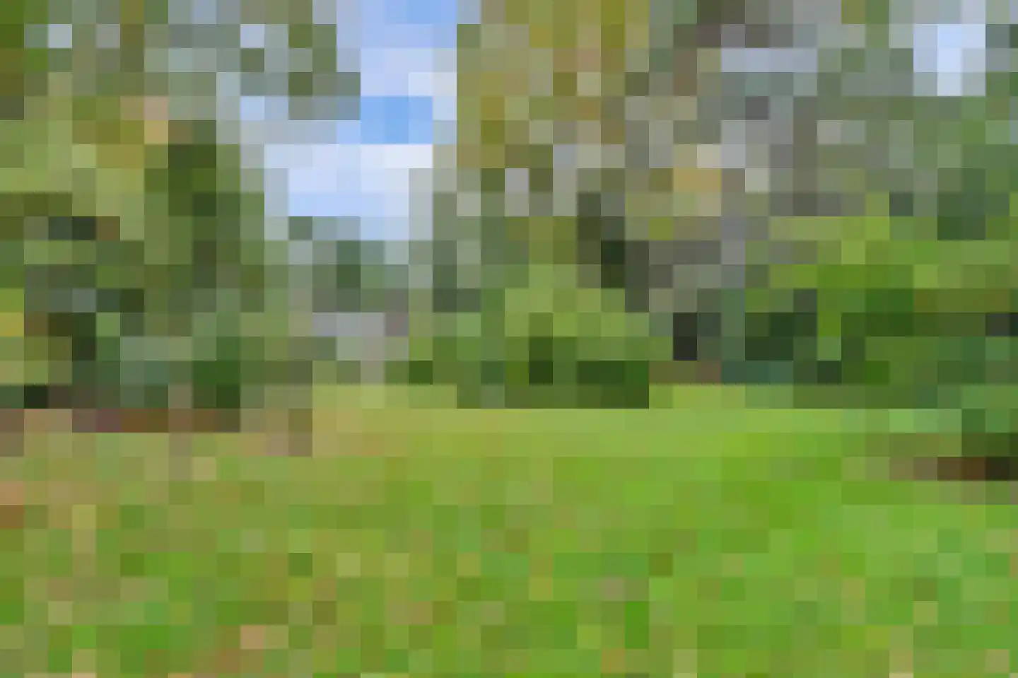 Kievit 12 b 289 Baarle-Nassau thumbnail 34