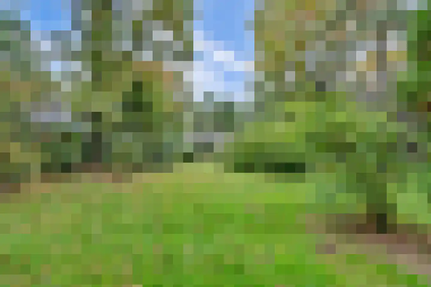 Kievit 12 b 289 Baarle-Nassau thumbnail 35