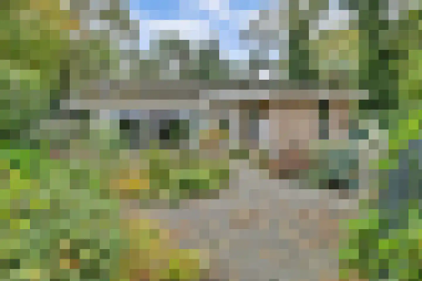 Kievit 12 b 289 Baarle-Nassau thumbnail 36