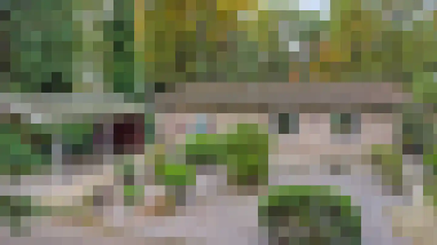 Kievit 12 b 289 Baarle-Nassau thumbnail 37