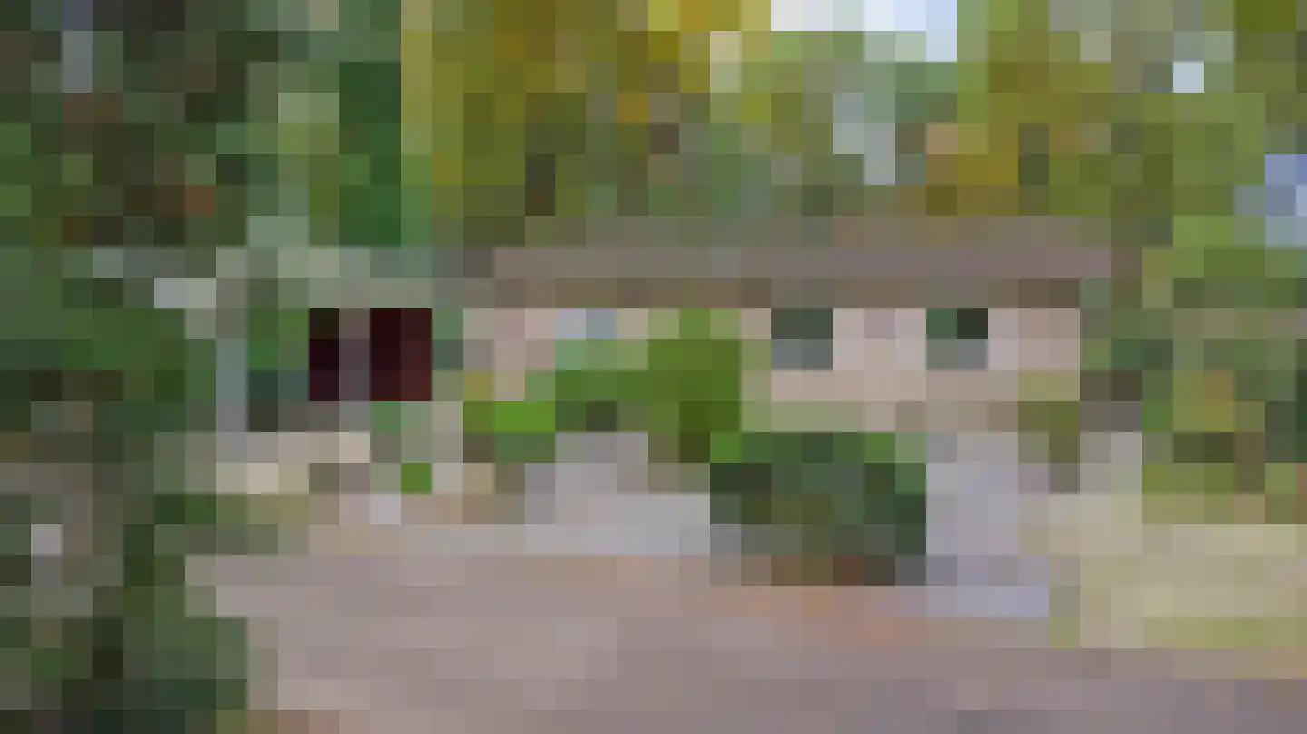 Kievit 12 b 289 Baarle-Nassau thumbnail 38