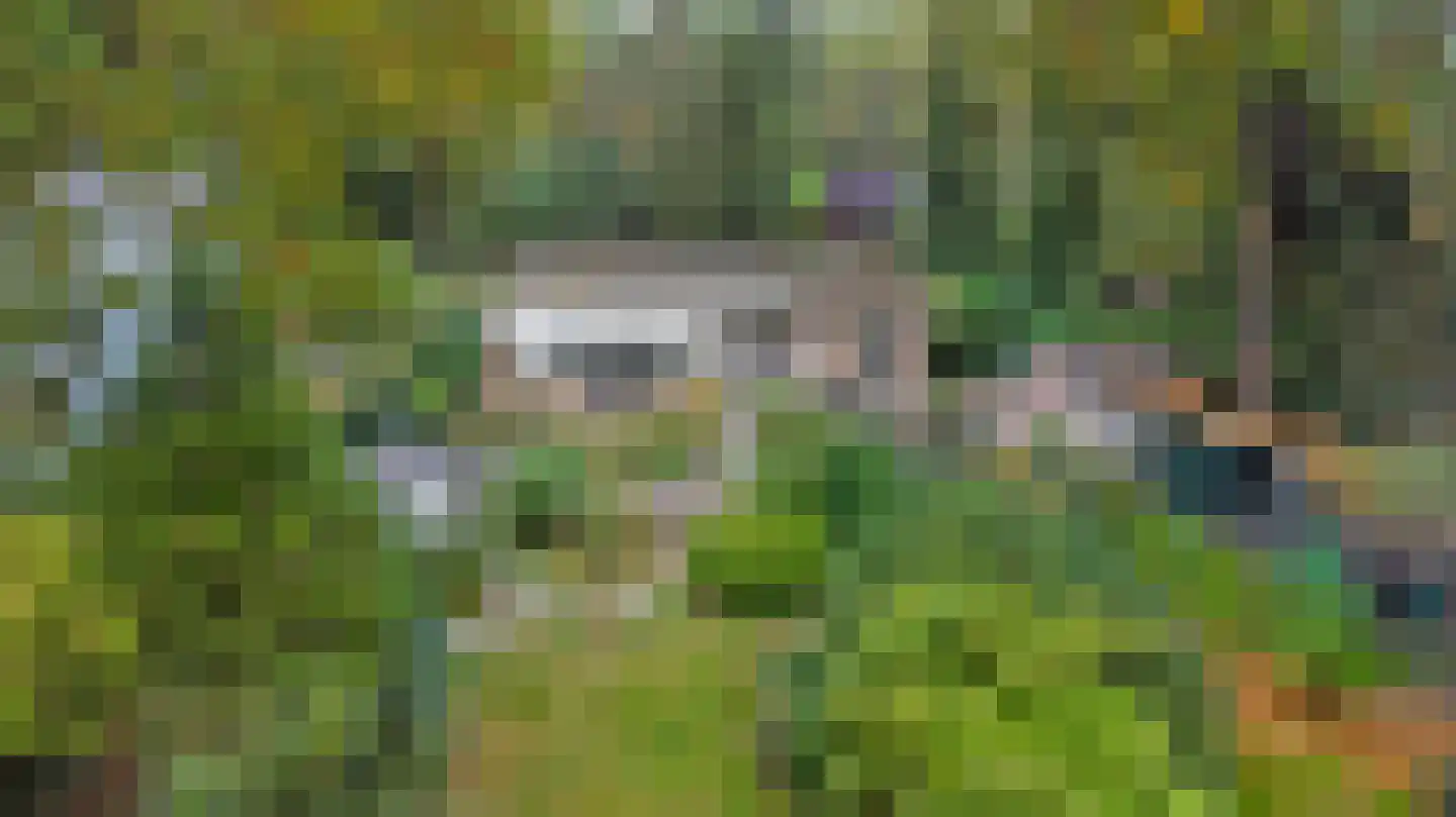 Kievit 12 b 289 Baarle-Nassau thumbnail 39