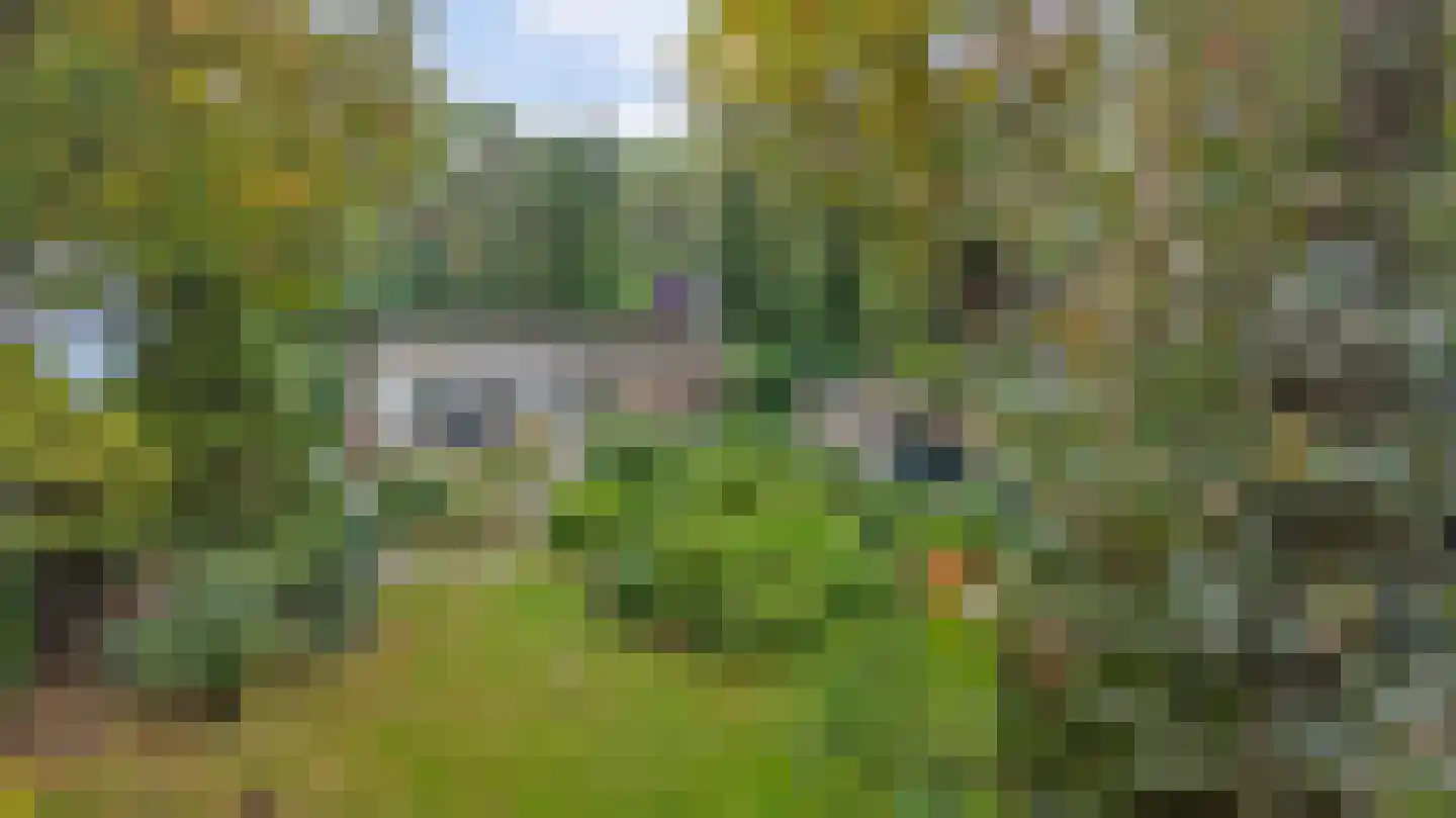 Kievit 12 b 289 Baarle-Nassau thumbnail 40