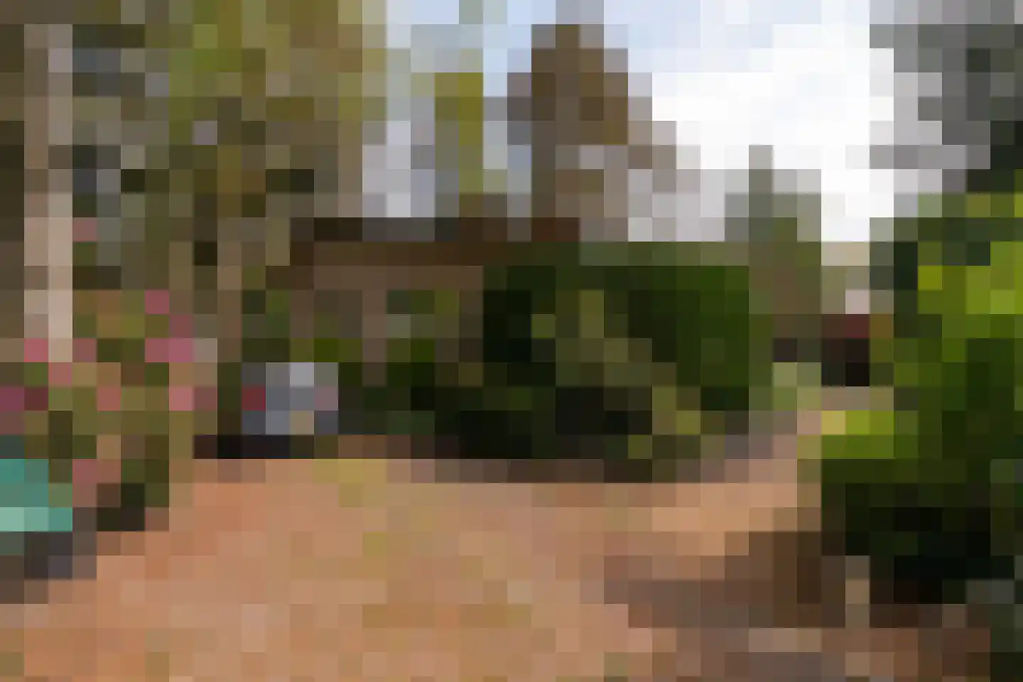 Kievit 12 b 351 Baarle-Nassau thumbnail 14