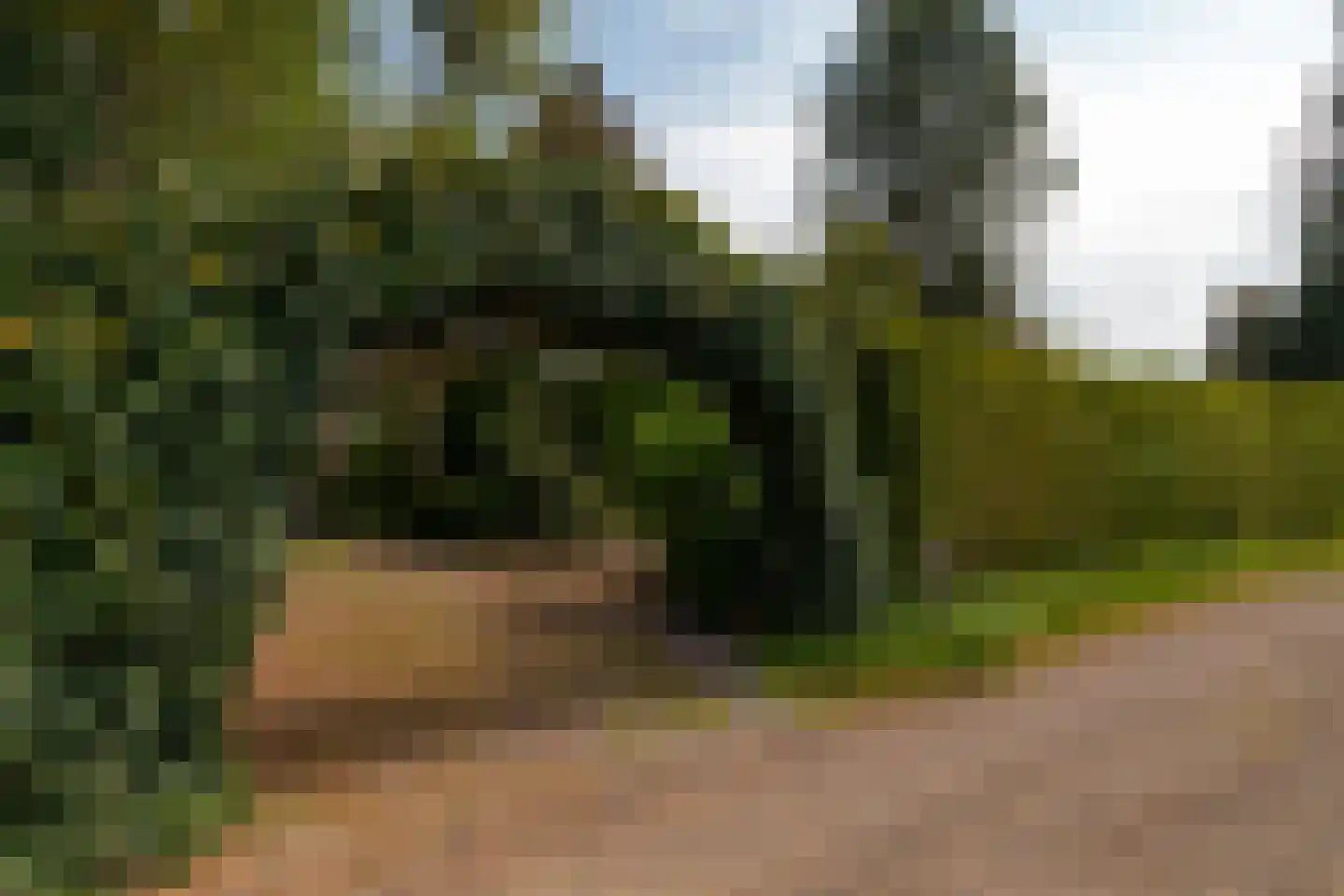 Kievit 12 b 351 Baarle-Nassau thumbnail 15