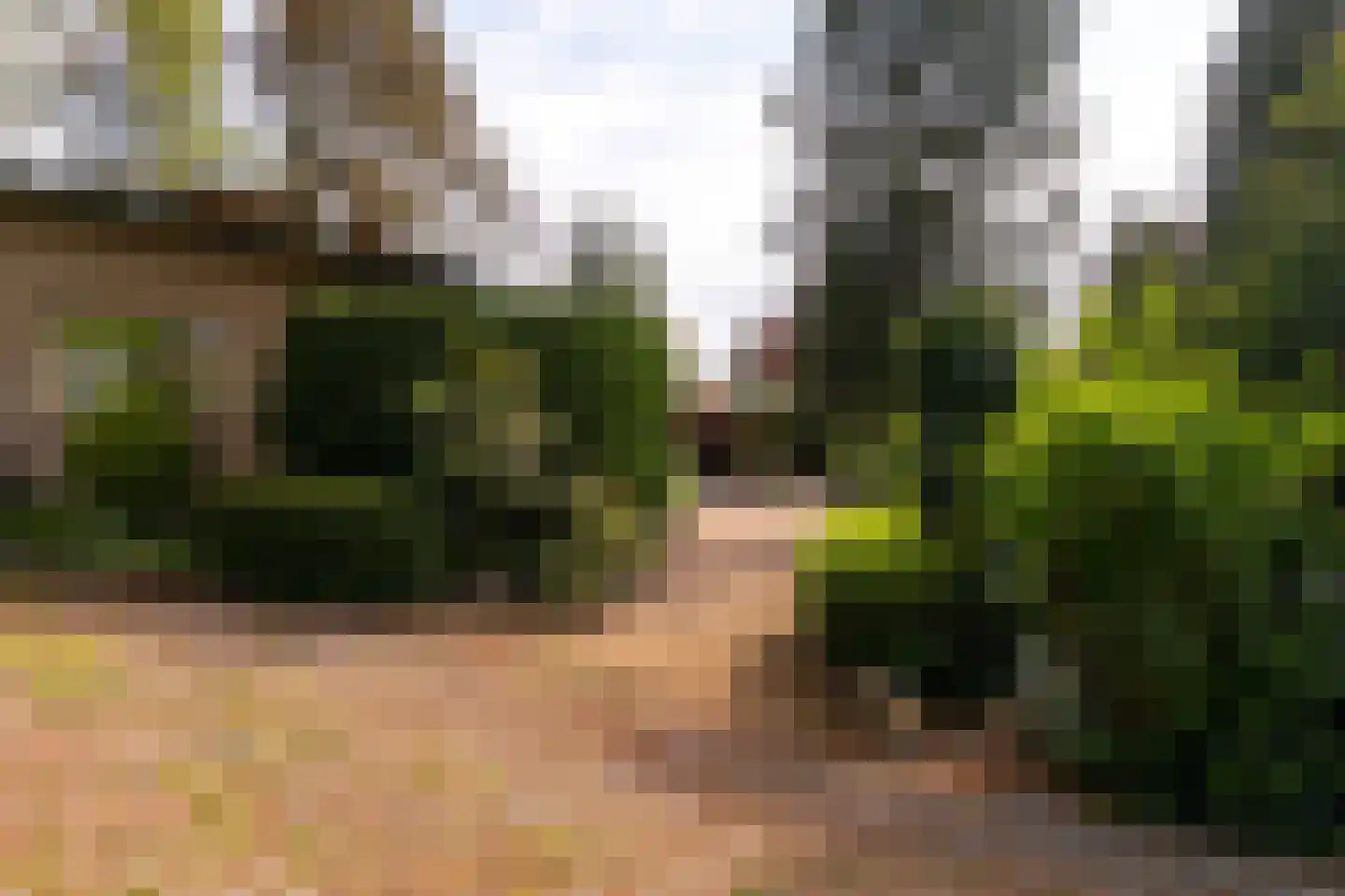 Kievit 12 b 351 Baarle-Nassau thumbnail 16