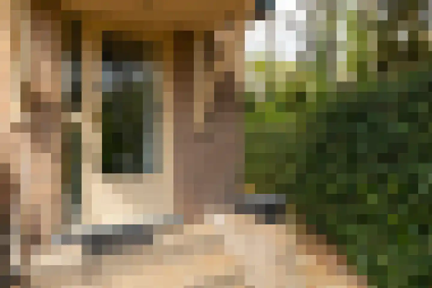 Kievit 12 b 351 Baarle-Nassau thumbnail 19