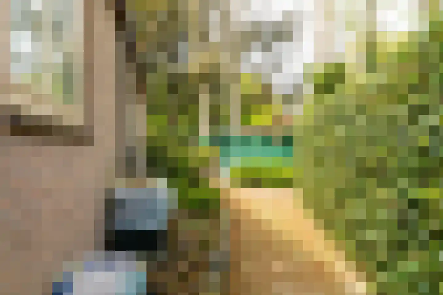 Kievit 12 b 351 Baarle-Nassau thumbnail 20