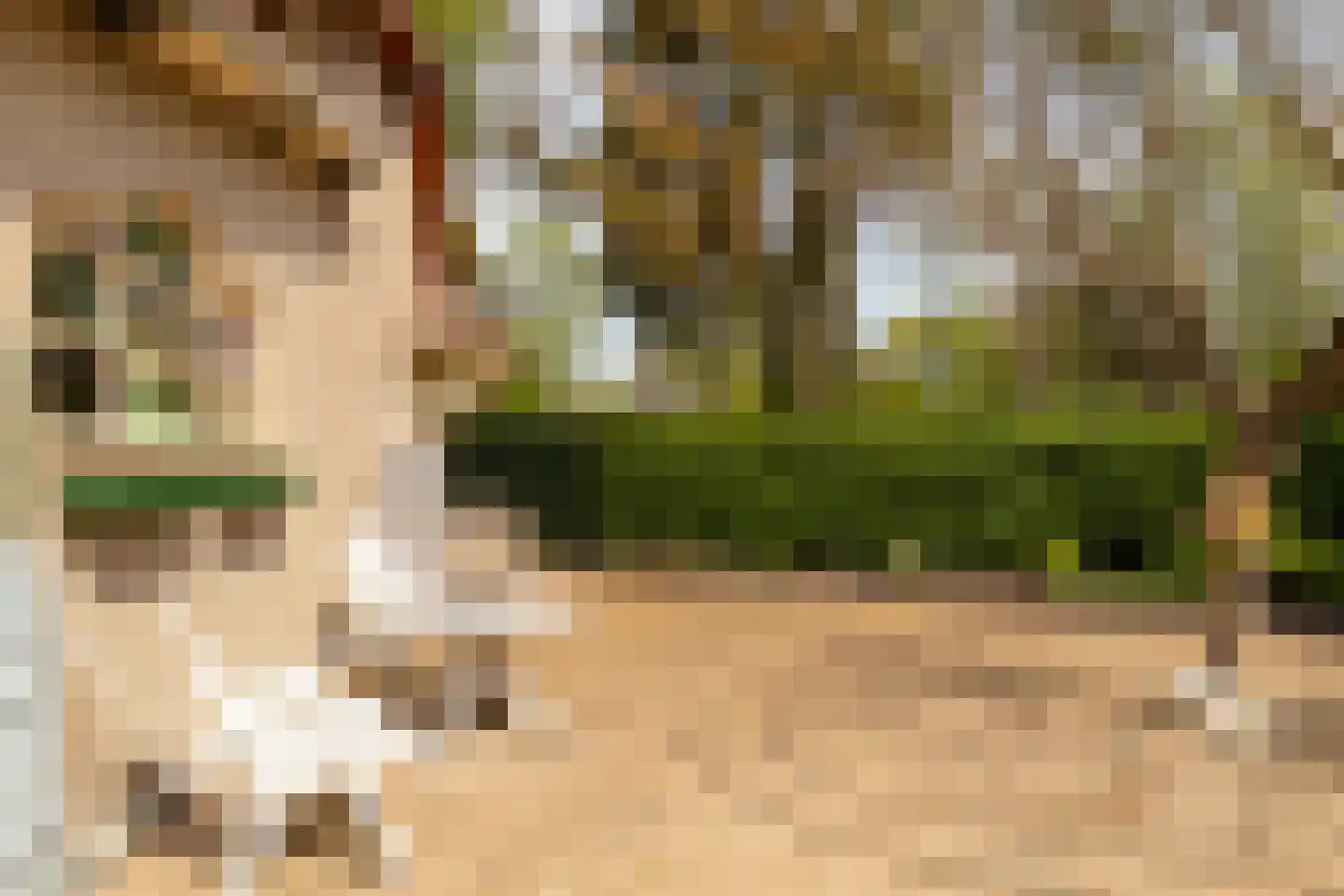 Kievit 12 b 351 Baarle-Nassau thumbnail 4