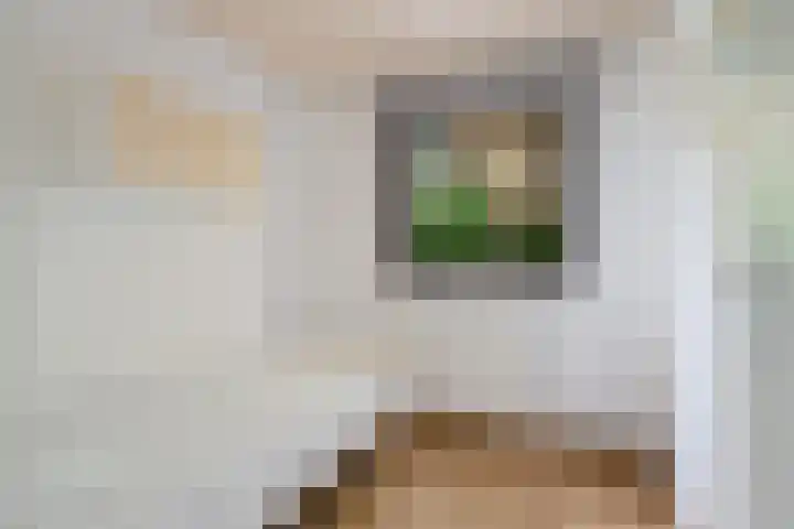Kievit 12 b 357 Baarle-Nassau thumbnail 23