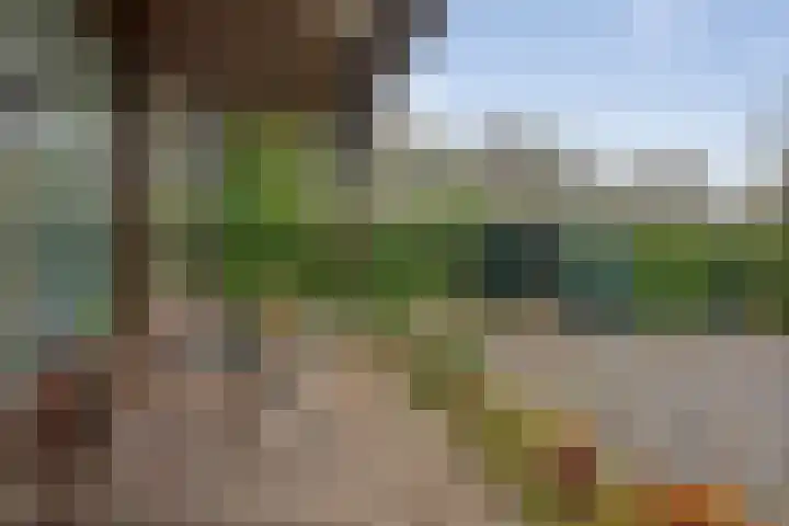 Kievit 12 b 357 Baarle-Nassau thumbnail 30