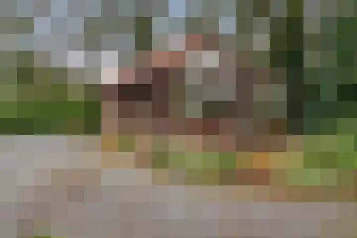 Kievit 12 b 357 Baarle-Nassau thumbnail 31