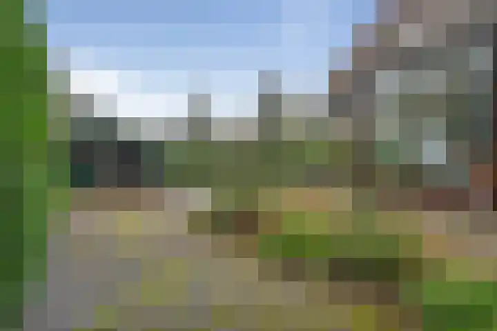 Kievit 12 b 357 Baarle-Nassau thumbnail 32