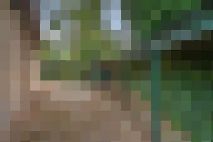 Kievit 12 b 357 Baarle-Nassau thumbnail 34