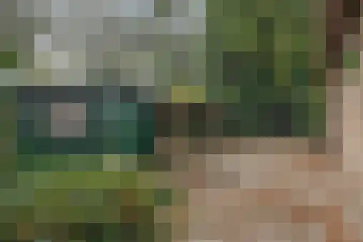 Kievit 12 b 357 Baarle-Nassau thumbnail 35