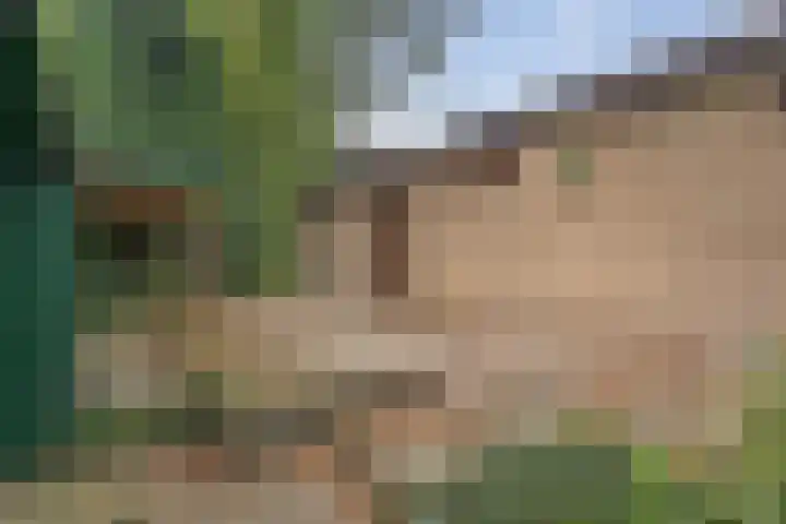 Kievit 12 b 357 Baarle-Nassau thumbnail 36