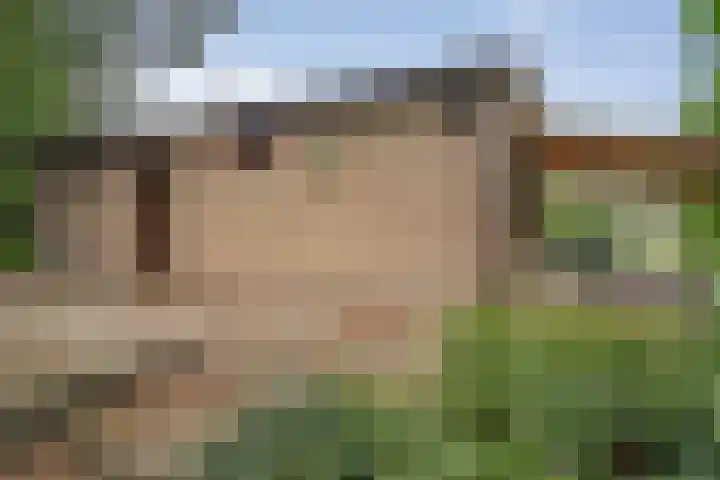 Kievit 12 b 357 Baarle-Nassau thumbnail 37