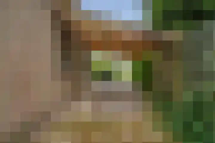 Kievit 12 b 357 Baarle-Nassau thumbnail 38
