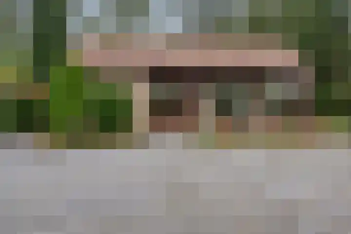 Kievit 12 b 357 Baarle-Nassau thumbnail 4