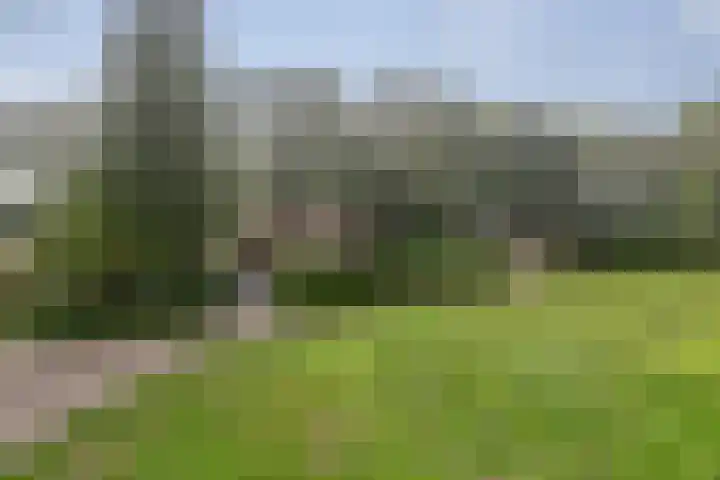 Kievit 12 b 357 Baarle-Nassau thumbnail 41