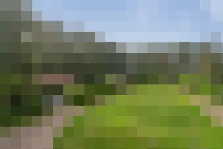 Kievit 12 b 357 Baarle-Nassau thumbnail 42