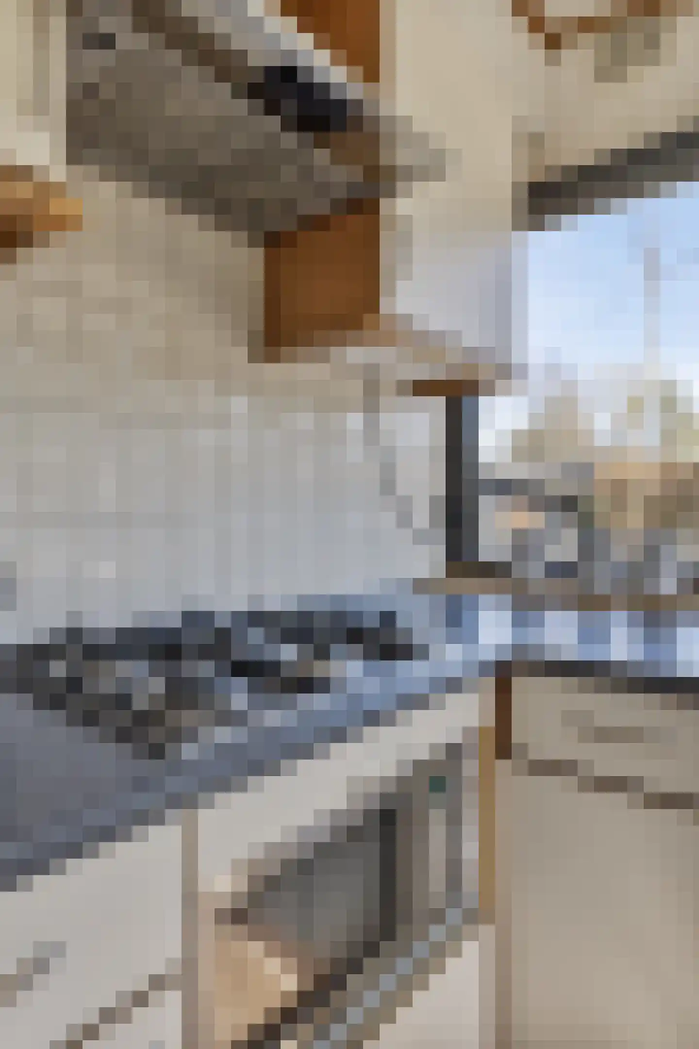 Kievit 12 b 358 Baarle-Nassau thumbnail 20