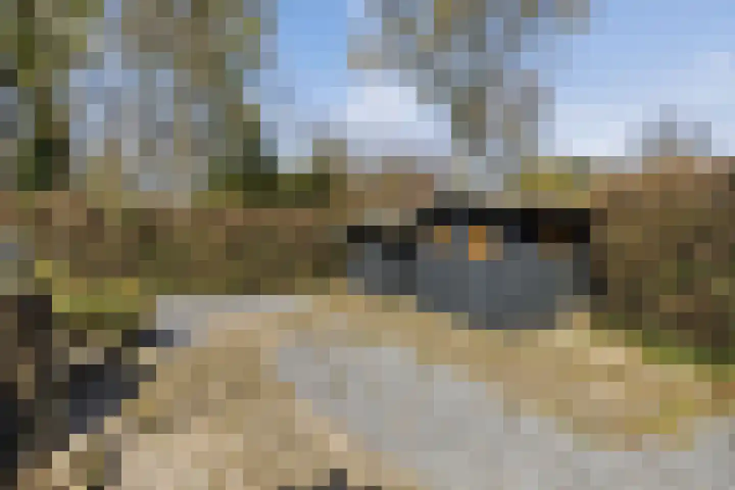 Kievit 12 b 358 Baarle-Nassau thumbnail 28