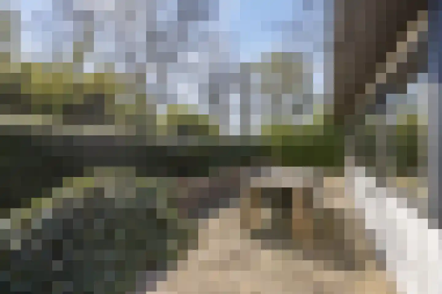 Kievit 12 b 358 Baarle-Nassau thumbnail 29