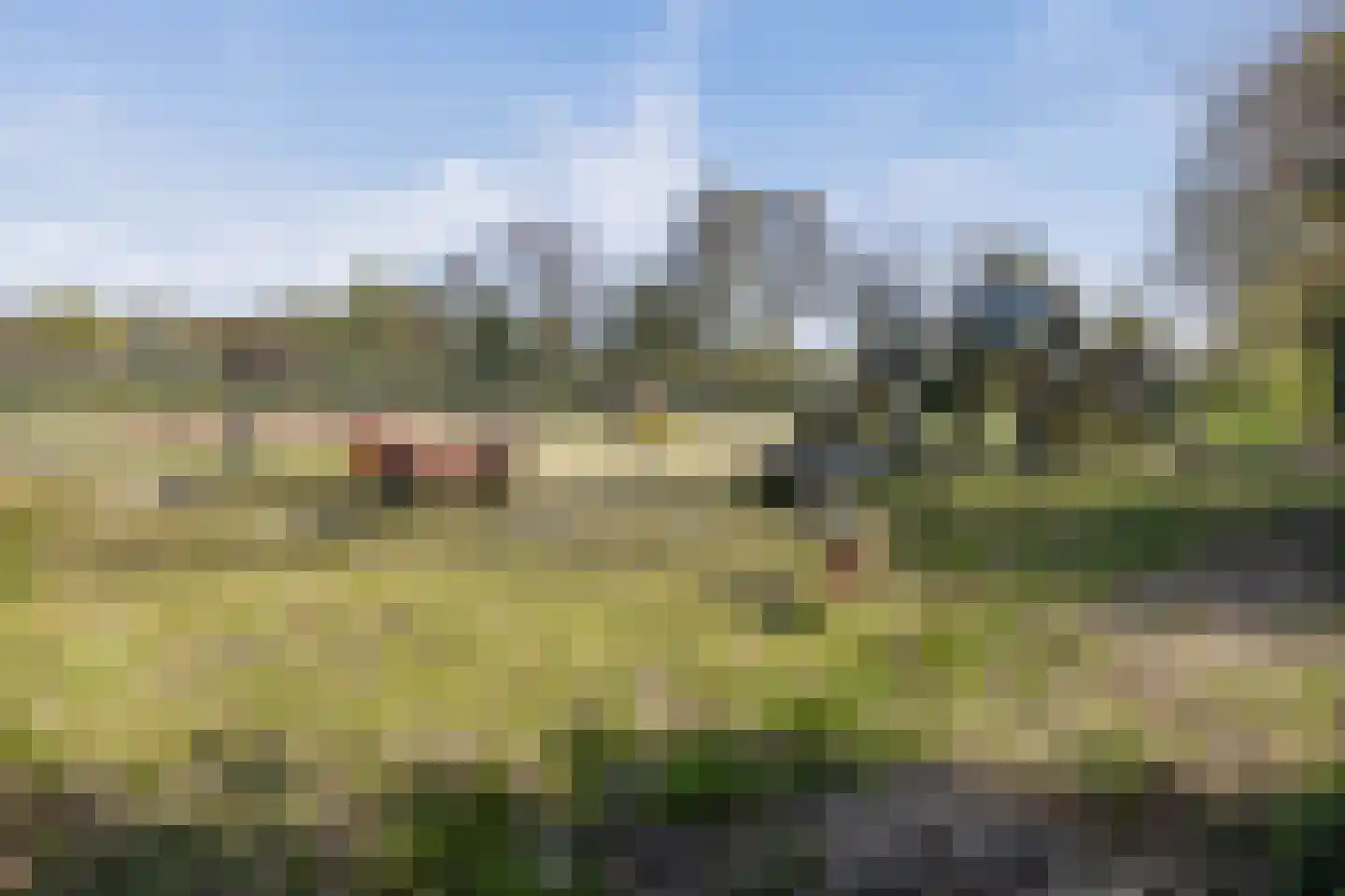 Kievit 12 b 358 Baarle-Nassau thumbnail 30