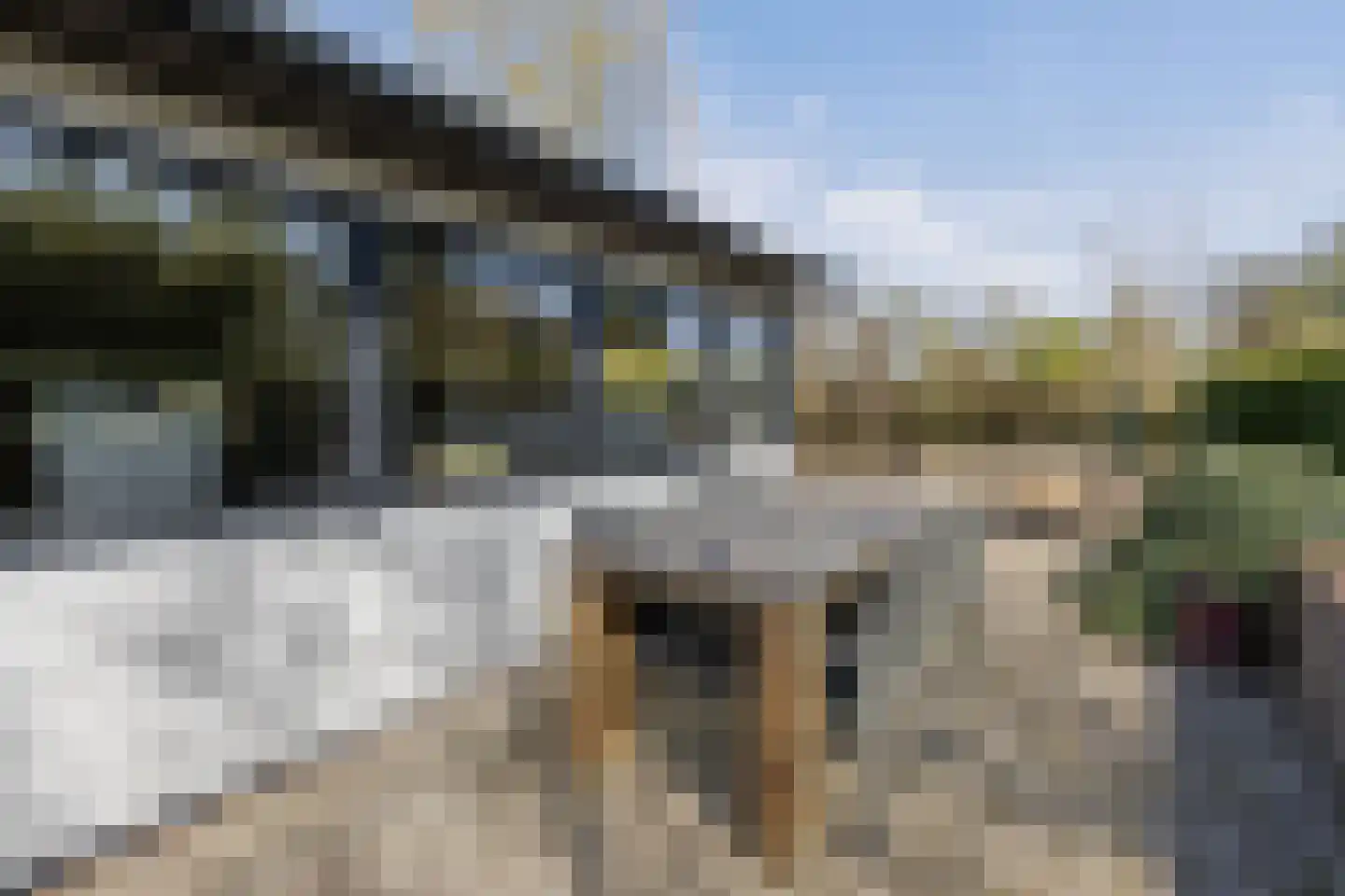 Kievit 12 b 358 Baarle-Nassau thumbnail 5