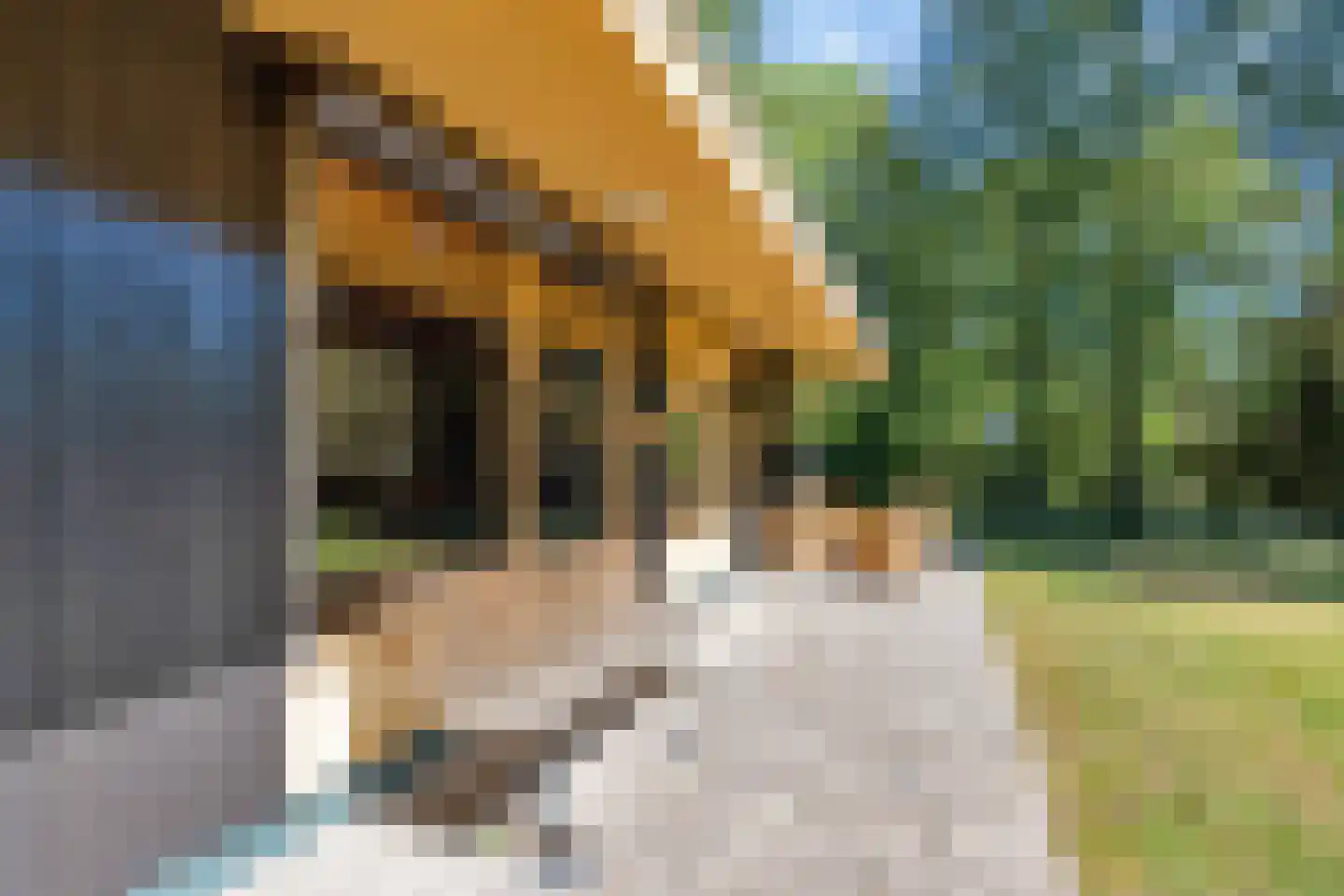 Kievit 12 b 367 Baarle-Nassau thumbnail 17