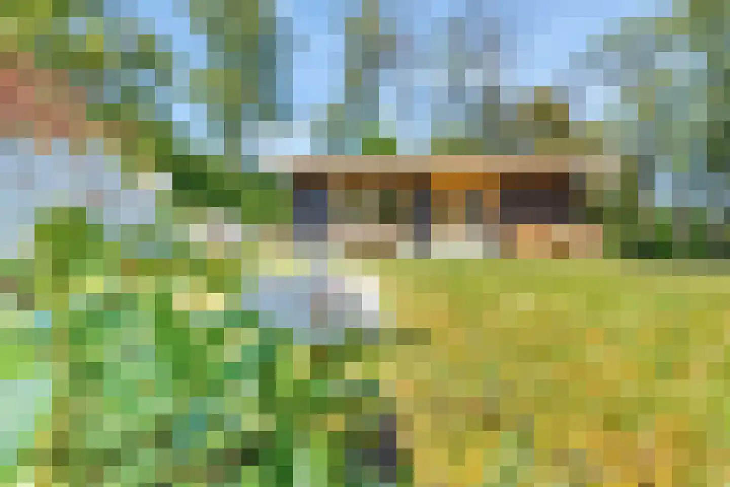 Kievit 12 b 367 Baarle-Nassau thumbnail 18