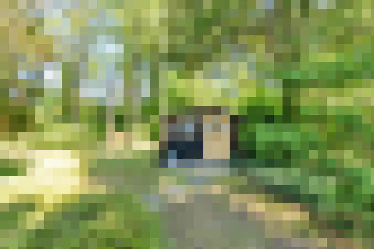 Kievit 12 b 367 Baarle-Nassau thumbnail 19