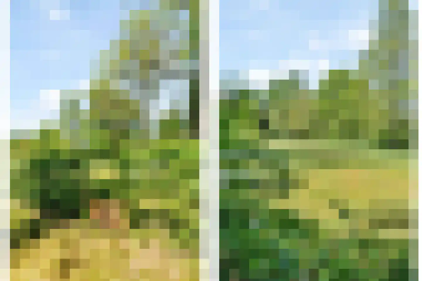 Kievit 12 b 367 Baarle-Nassau thumbnail 20