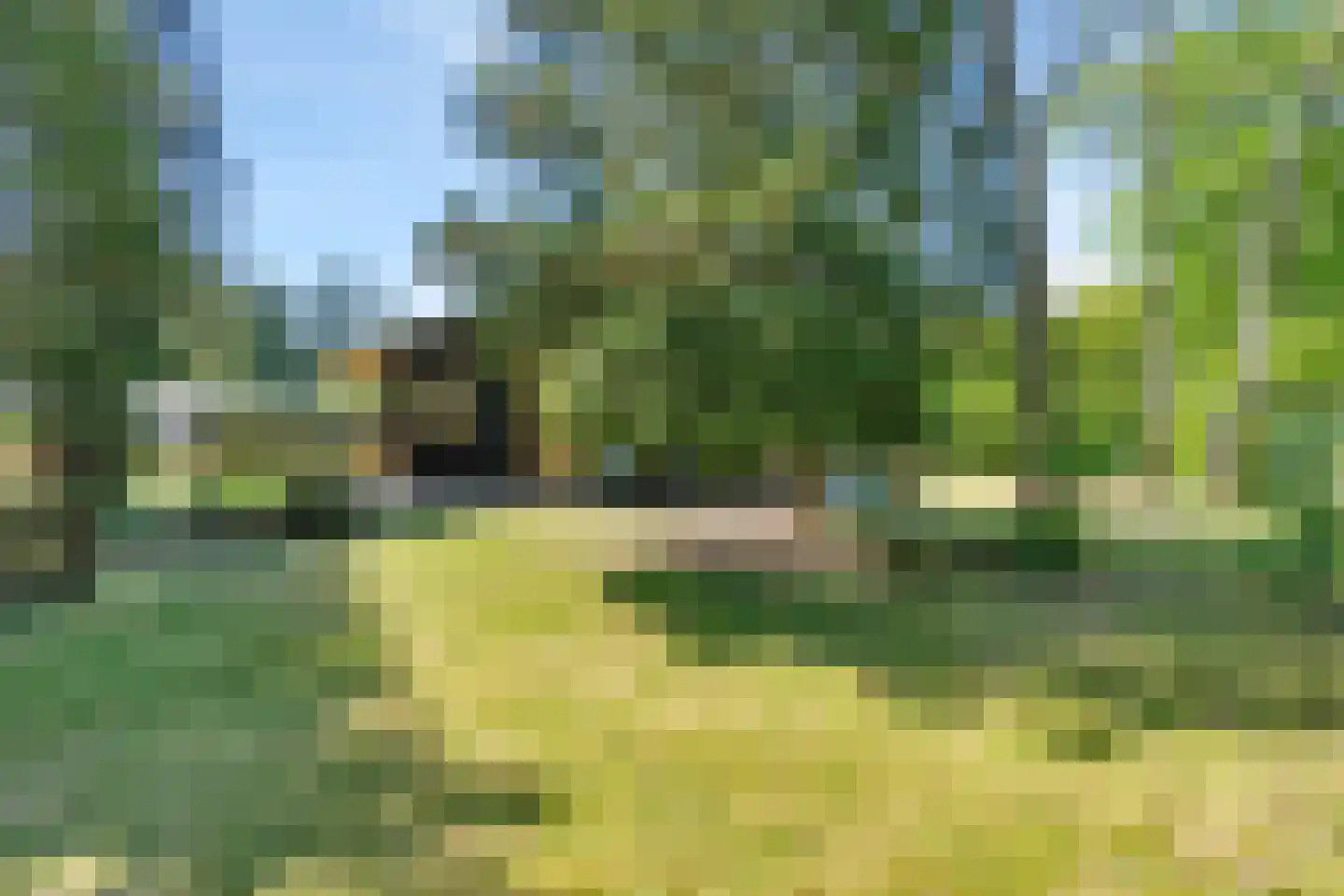Kievit 12 b 367 Baarle-Nassau thumbnail 22